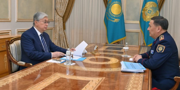 Глава государства принял министра внутренних дел Марата Ахметжанова