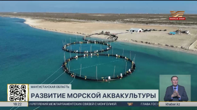 Проект морской аквакультуры запустили в Мангистауской области