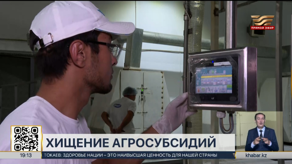 Более ₸251 млн субсидий похищено в Алматинской области