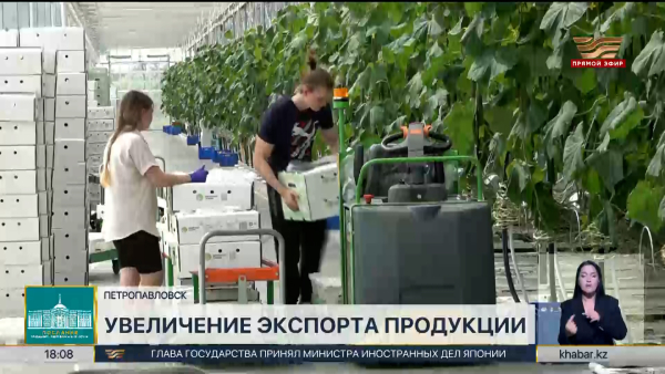 Северо-Казахстанская область экспортировала продукции на $30 млн