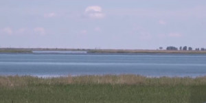 Очаг ртутного загрязнения в озере нашли экологи Павлодара