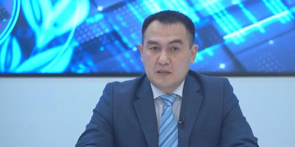 Жыл басынан бері 4 мың интернет алаяқтық тіркелді