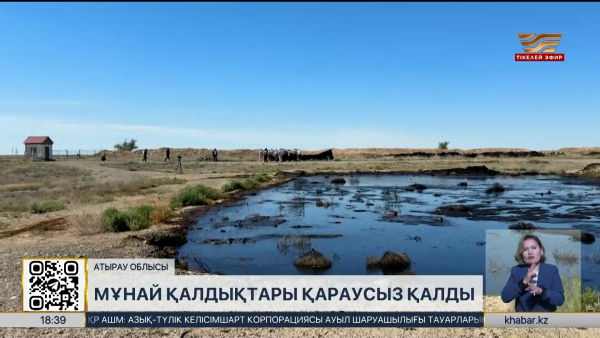 Атырау облысында мұнай қалдықтары мал өрісін ластап жатыр