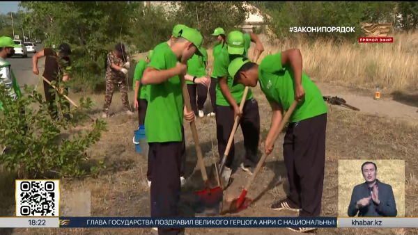 Таза Қазақстан: 6,5 тысяч саженцев высадили в городе Курчатов