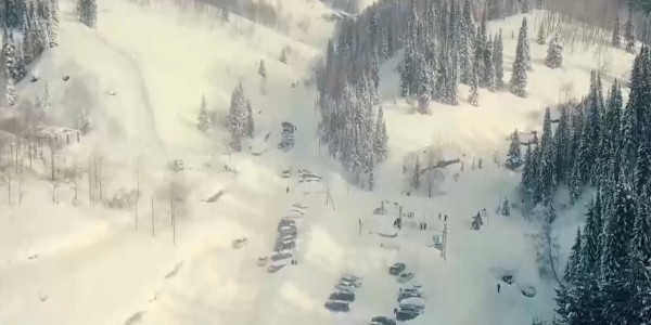 Орман Кодексі туристік саланы тығырыққа тіреді