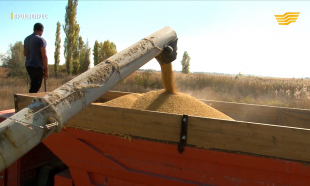&laquo;Продвопрос&raquo;. Свекловодство. Кооперация в молочном производстве. Фестиваль уличной еды