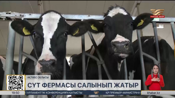 Ақтөбе облысында сүт фермасы салынып жатыр