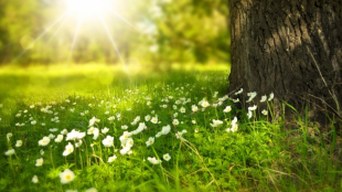 Еліміздің басым бөлігінде күн ысиды