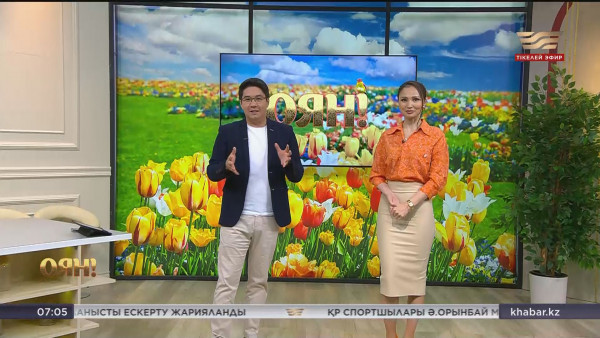 Nickelodeon жұлдызы: жасөспіріммен тіл табысу, &laquo;Педагог емес&raquo; ұстаздар, Шәмші әндері| Толық нұсқа