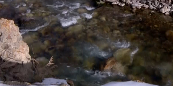 Казахстан предложил Кыргызстану возобновить сотрудничество в рамках фонда спасения Арала