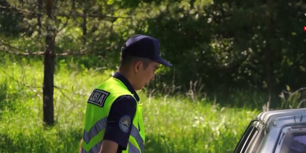 ШҚО тұрғындарына орманға баруға шектеу қойылды