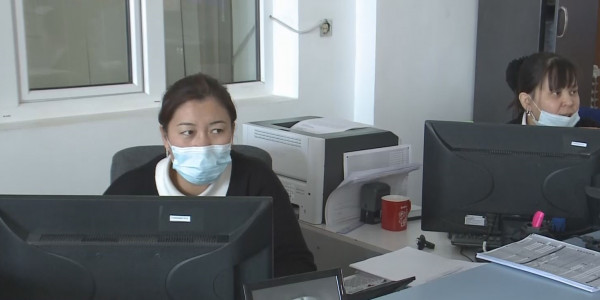 Қызылорда шаруалары неге миллиондап айыппұл арқалап жатыр?