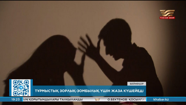 Тұрмыстық зорлық-зомбылық үшін жаза күшейді