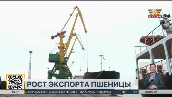 Рост экспорта зерновых до 12 млн тонн прогнозирует Минсельхоз