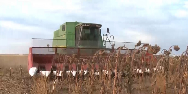 Су тапшылығынан бірқатар өңірді құрғақшылық жайлады