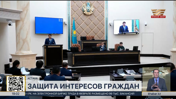 Депутаты Сената провели около 600 встреч по разъяснению новой Конституции