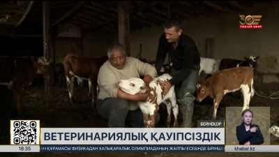 Атбасарда сібір жарасынан екі ауыл карантинге жабылды