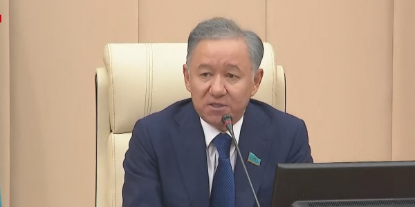 В Мажилисе одобрили ряд законопроектов