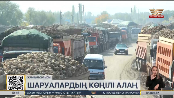 Жамбыл облысында шаруалардың көңілі алаң