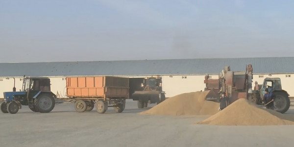 Ресей-Украина шекарасында күріш тиелген бірнеше отандық вагон тоқтап тұр