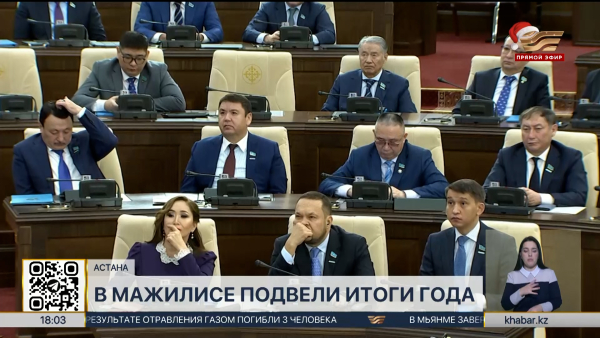 Депутаты Мажилиса приняли 100 законов за год