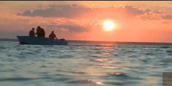 Экологов беспокоит состояние Арала