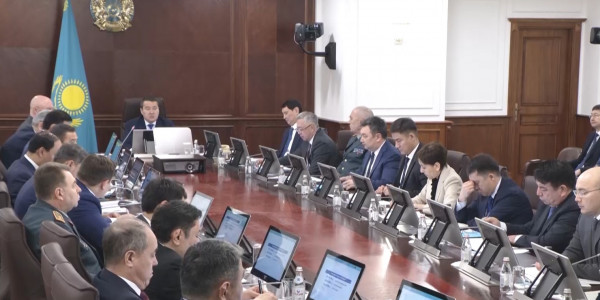 Миллион молодых казахстанцев из сельской местности смогут найти работу до 2029 года