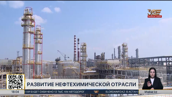 Расширить производство цианида натрия планируют в Жамбылской области