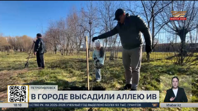 Новая аллея появилась в парке Петропавловска