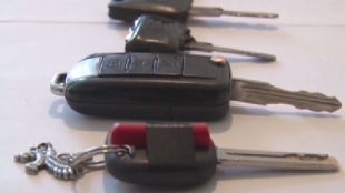 В ЮКО у егеря заповедника украли автомобиль вместе со служебным оружием