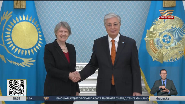 Президент принял главу ИПДО Хелен Кларк