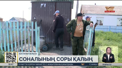 Қостанай облысындағы ауылда ауызсу мәселесі шешілмей тұр