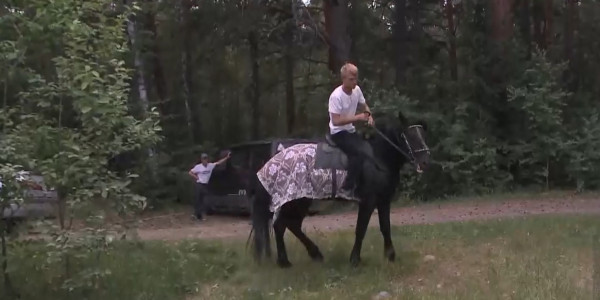 Иппотерапию предлагают особенным детям в новой зоне отдыха Риддера