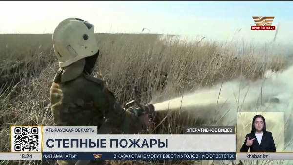 Степные пожары тушат в Атырауской области