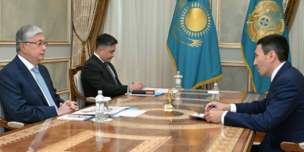 Президент принял председателя правления АО &laquo;Самрук-Қазына&raquo;