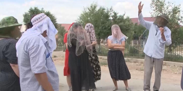 Түркістан облысында шыбын-шіркей қаптап кетті