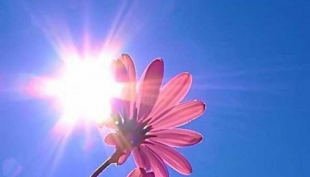 Еліміздің бірқатар облысында дабылды ескерту жарияланды