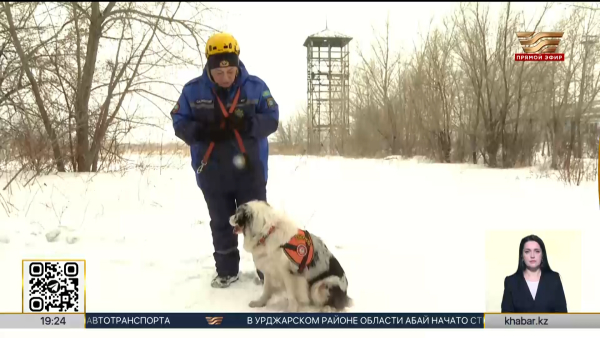 Единственная женщина-кинолог служит в оперативно-спасательном отряде в Павлодаре