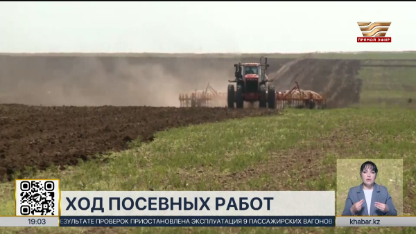 Площадь посевов пшеницы сократят на 125 тысяч гектаров