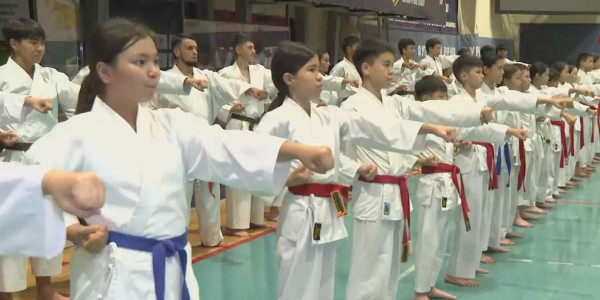 Елімізде Фунакоси каратэден ұлттық құрама жасақталады