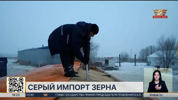 Схему серого импорта зерна на ₸11,2 млрд пресекли в ЗКО