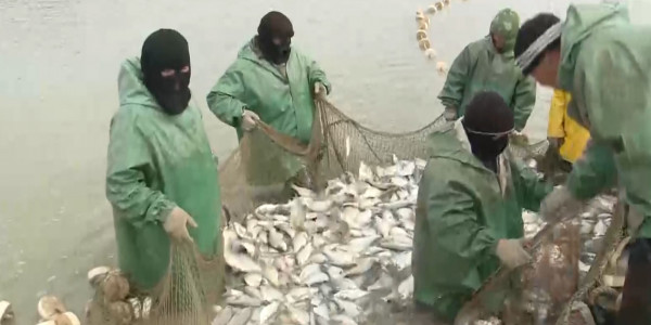 Атырау облысында балықшылар жалақысын ала алмай жүр