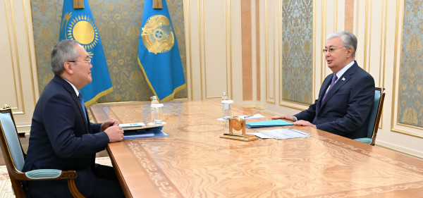 Қ. Тоқаев Қаржылық мониторинг агенттігінің төрағасы Жанат Элимановты қабылдады
