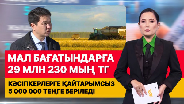 Мал бағатындарға 29 млн 230 мың теңге. &laquo;Әлеумет&raquo;