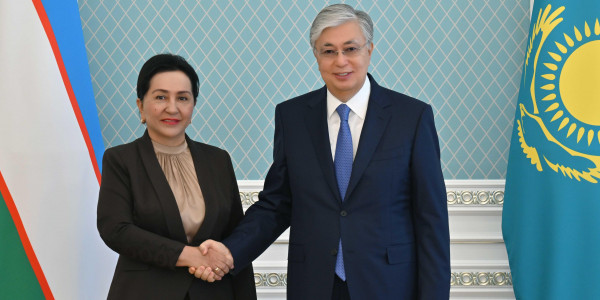 Қ.Тоқаев Өзбекстан Республикасы Олий Мәжілісі Сенатының төрағасы Танзила Нарбаеваны қабылдады