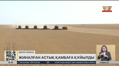 Құрғақшылыққа қарамастан Ақмола облысында 5,5 млн тонна бидай бастырылды