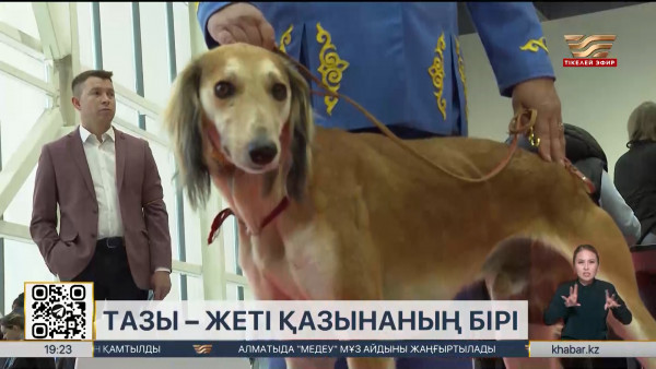 Тазы мен төбет күні: Күнтізбеде тағы бір мереке пайда болуы мүмкін