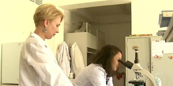 Отандық ғалымдар ауылшаруашылық өнімдерін ұзақ сақтаудың амалын тапты