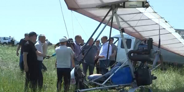 Саранча в Костанайской области теряет активность
