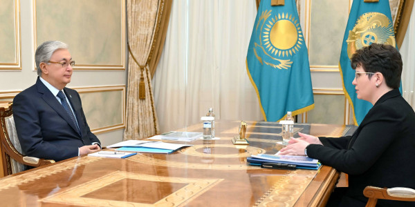 Глава государства принял председателя Высшей аудиторской палаты Наталью Годунову